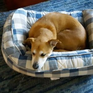 Meet your Posher, Melanie